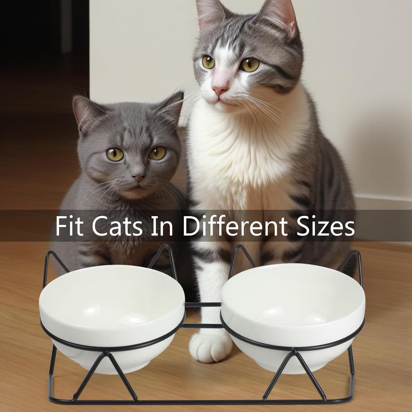 Elevated Tilted Cat Bowls for Indoor Cats,Raised Ceramic Cat Bowl Elevated 15°,Pet Feeding Bowls for Food and Water Anti Vomiting Bowl(Double Ceramics and Tilt Shelf) Suitable