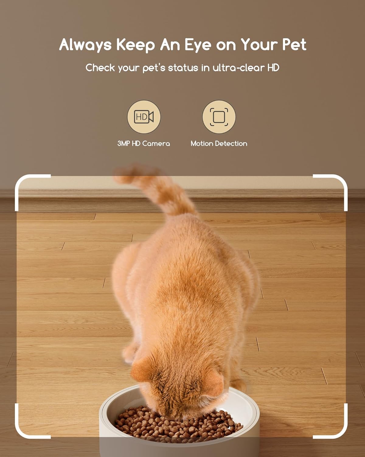 Automatic Cat Feeder with Camera, HD Video with Night Vision, 5G Cat Feeder Automatic with Control, 2- Audio, Low Food Sensor, Motion Alerts for Cats and Dogs