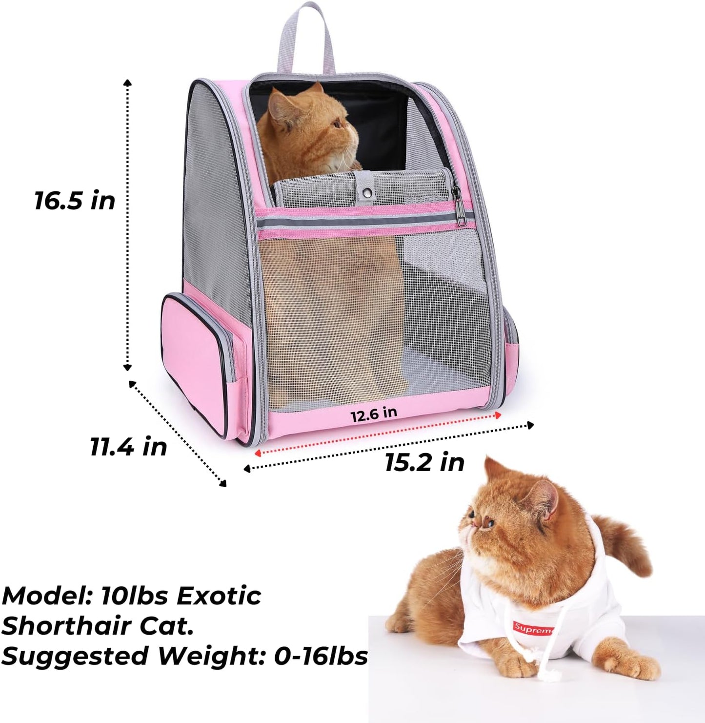 Pet Carrier Backpack for Dogs and Cats,Puppies,Fully Ventilated Mesh,Airline Approved,Designed for Travel, Hiking, Walking & Outdoor Use
